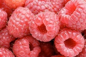 Raspberry Ketones Hiprolean XS Ingredient