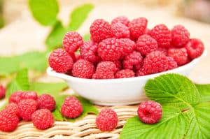 Pure Raspberry Ketone Extracts