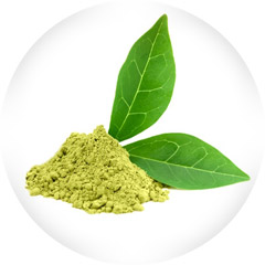 green tea