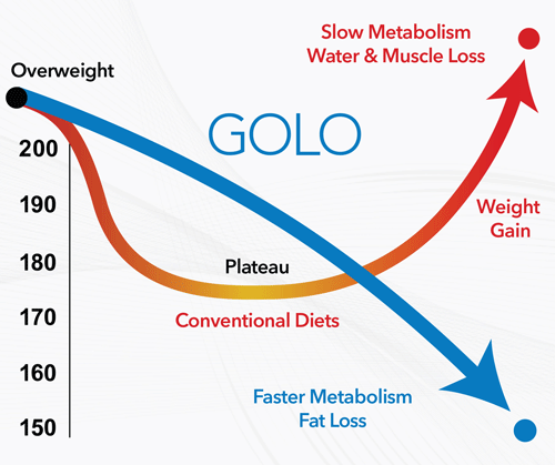 How golo diet works