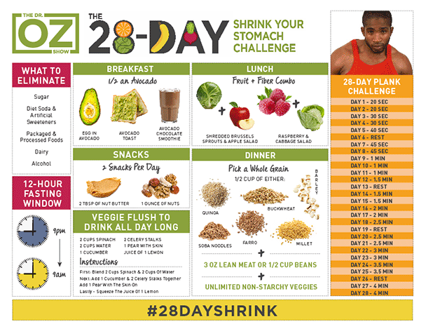 The 28 day Dr Oz Shrink Stomach Challenge review