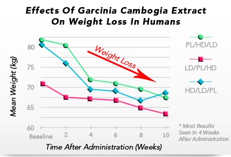 garcinia cambogia weight loss study