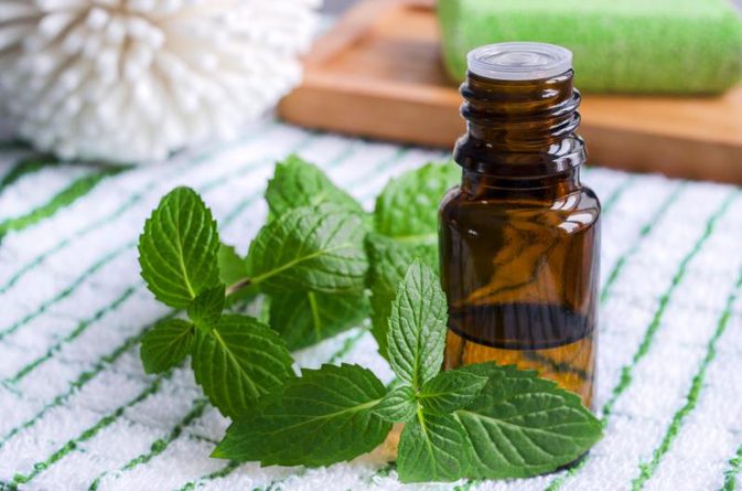 how to use Peppermint oil to lose weight
