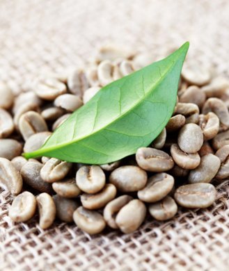 pure green coffee bean extracts