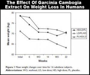 effects of garcinia cambogia