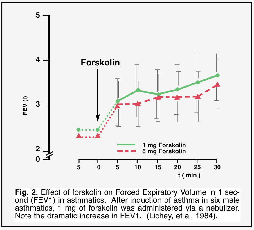 How forskolin extract works