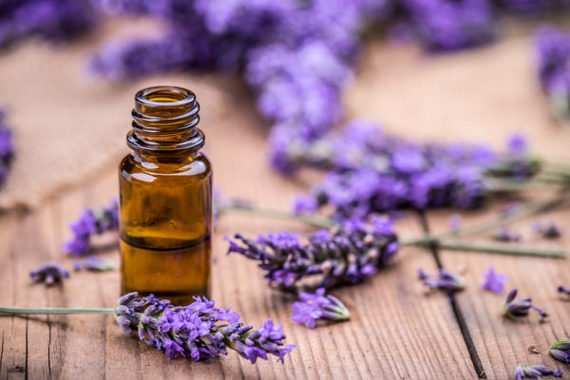 how to use lavender oil for weight loss