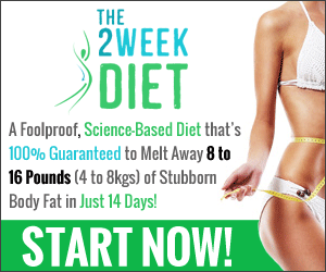 buy 2 week diet plan