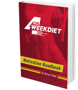 Motivation handbook by Brian Flatt