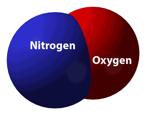 Primary action of nitric oxide
