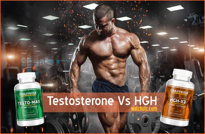 Testosterone Vs HGH - Which is better steroids?