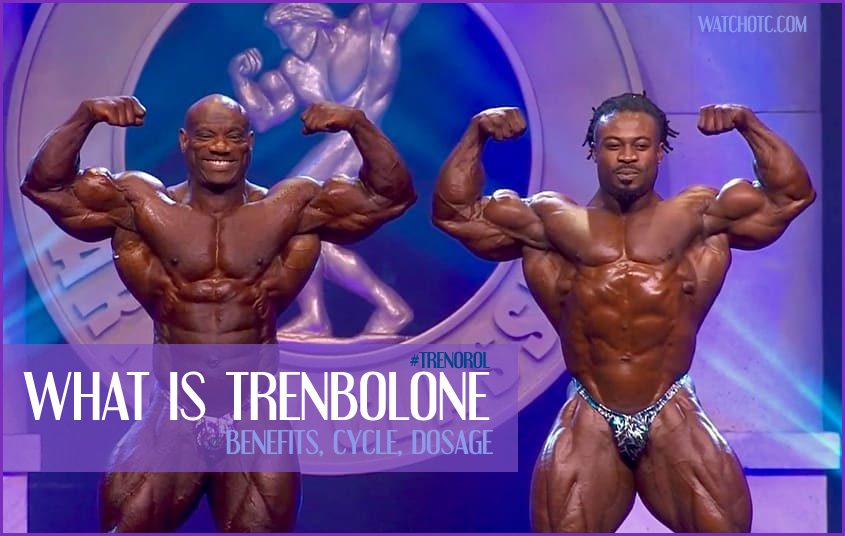 What is Trenbolone