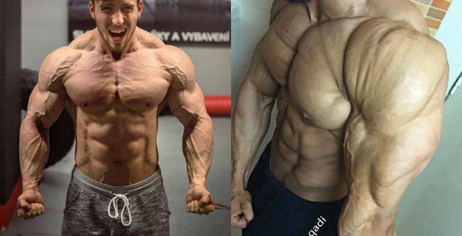 Trenbolone results