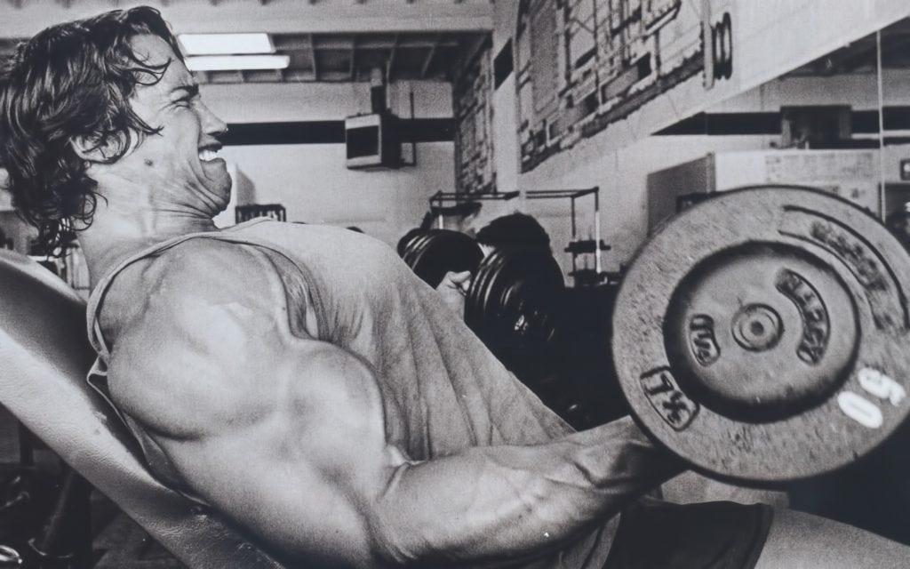Actors Arnold Schwarzenegger Bodybuilding