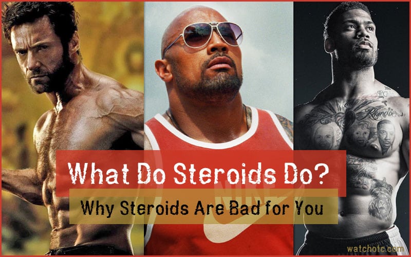 how the steroids are working in our body