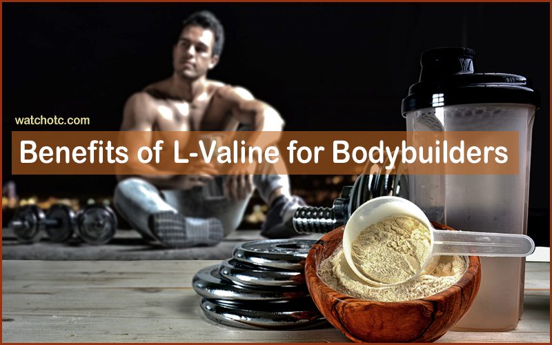 benefits of L-Valine