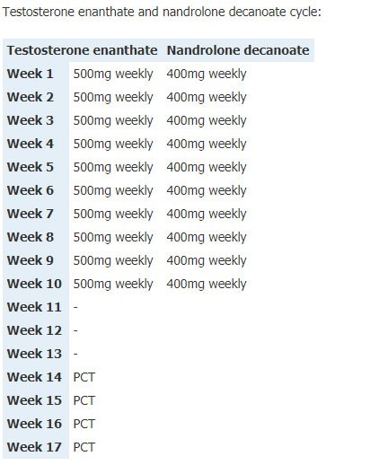 Nandrolone only cycle