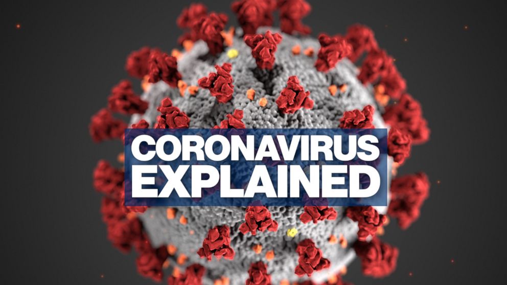 What happens when you get the coronavirus disease?